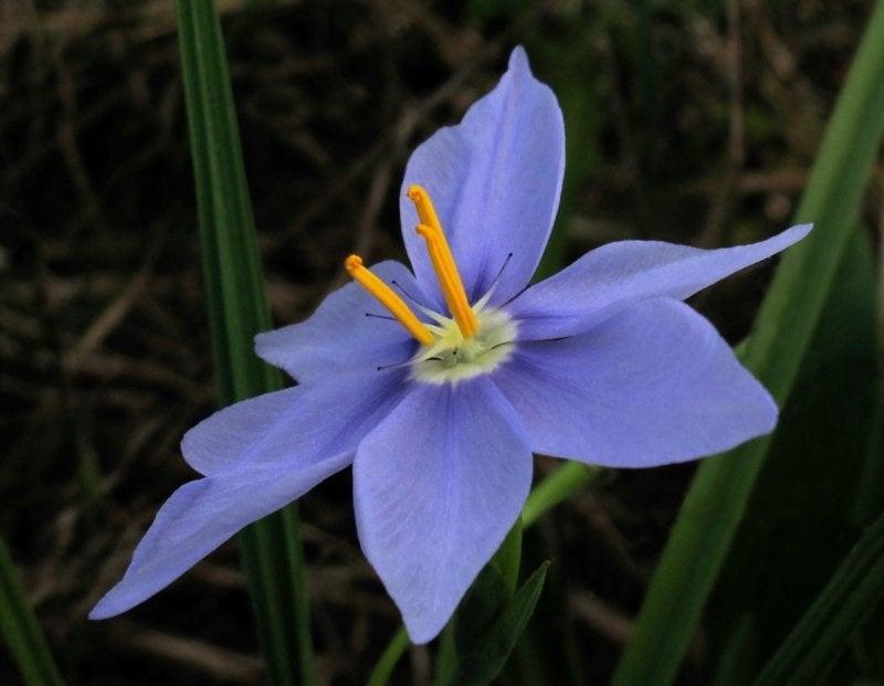 Rock Creek Natural Area, Rock Creek Natural Area, Rock Creek Natural Area