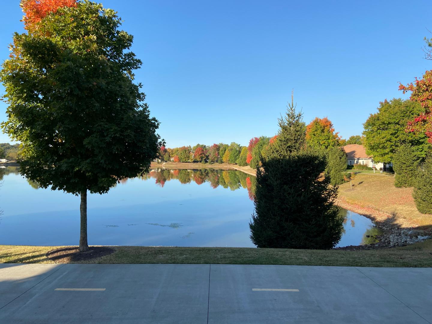 Natural State Beer Company