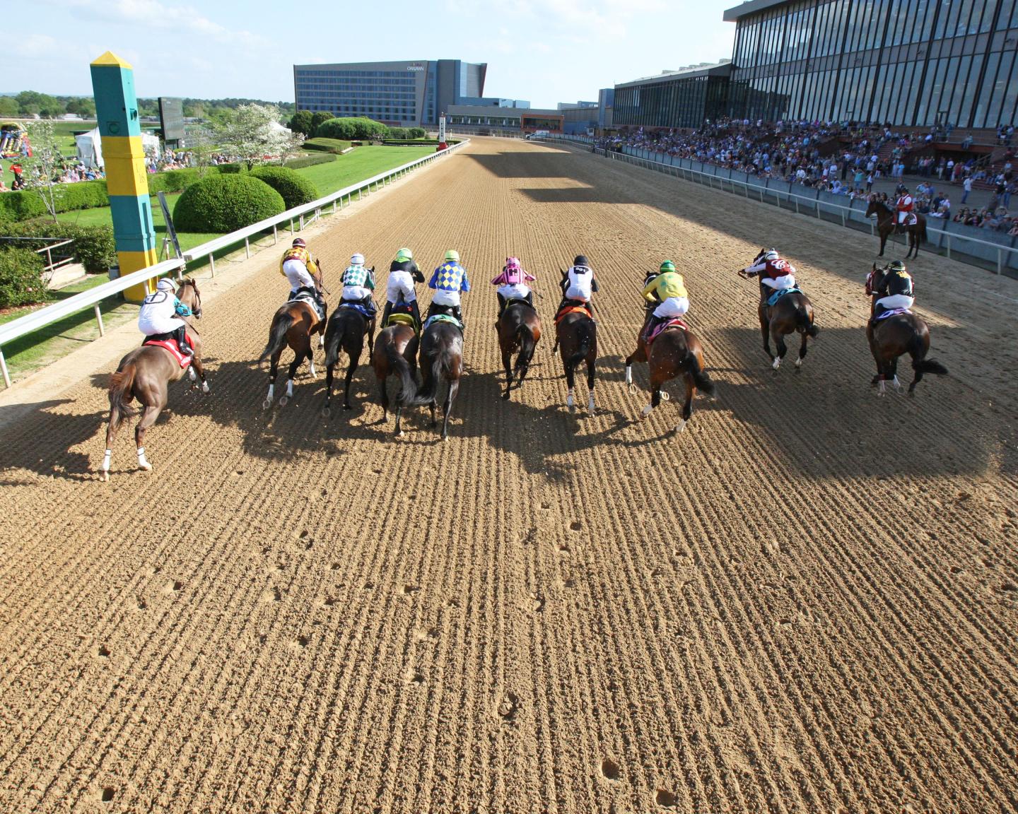 Live Thoroughbred Racing December - May