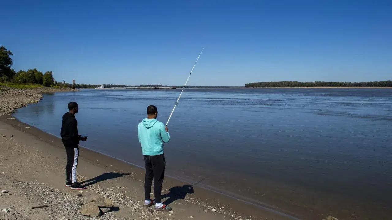 Two people fishing by a calm lakeshore on a sunny day.