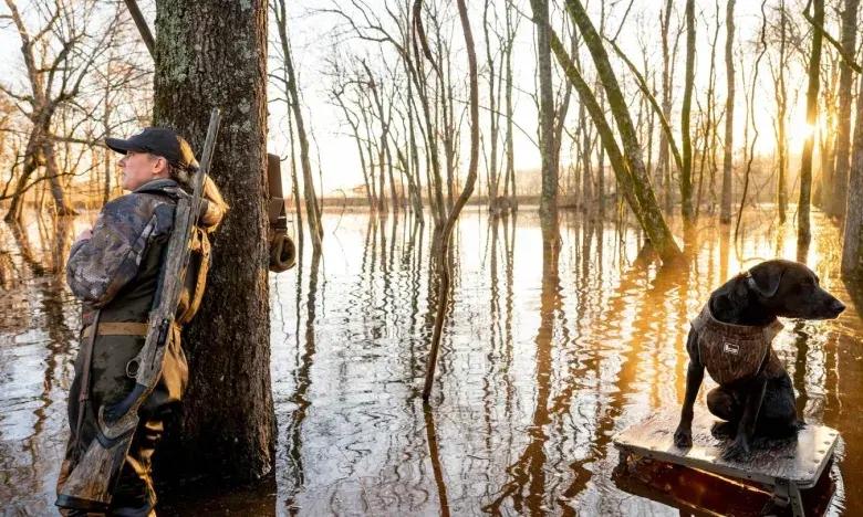 Hunter and dog in flooded forest at sunrise.