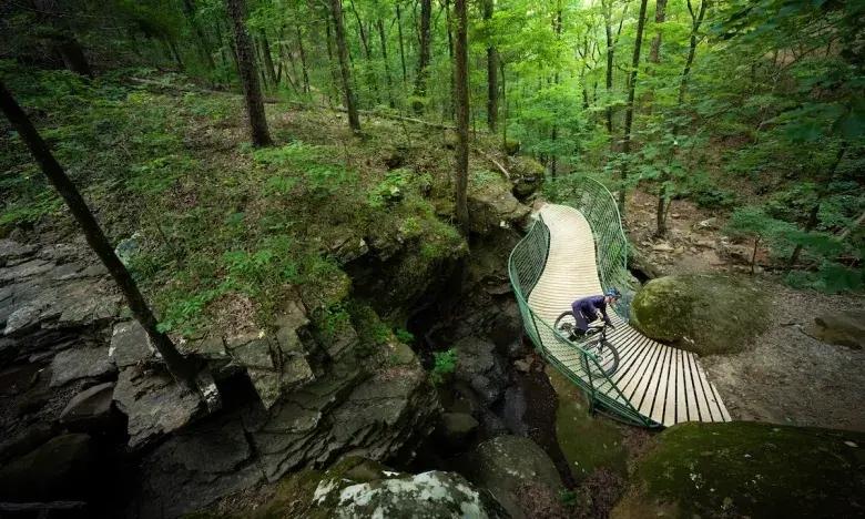 Cyclist on a wooden trail bridge in a lush green forest.