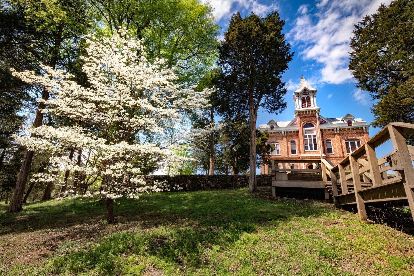 Historic courthouse with a clock tower, white flowering tree in foreground, under a blue sky.