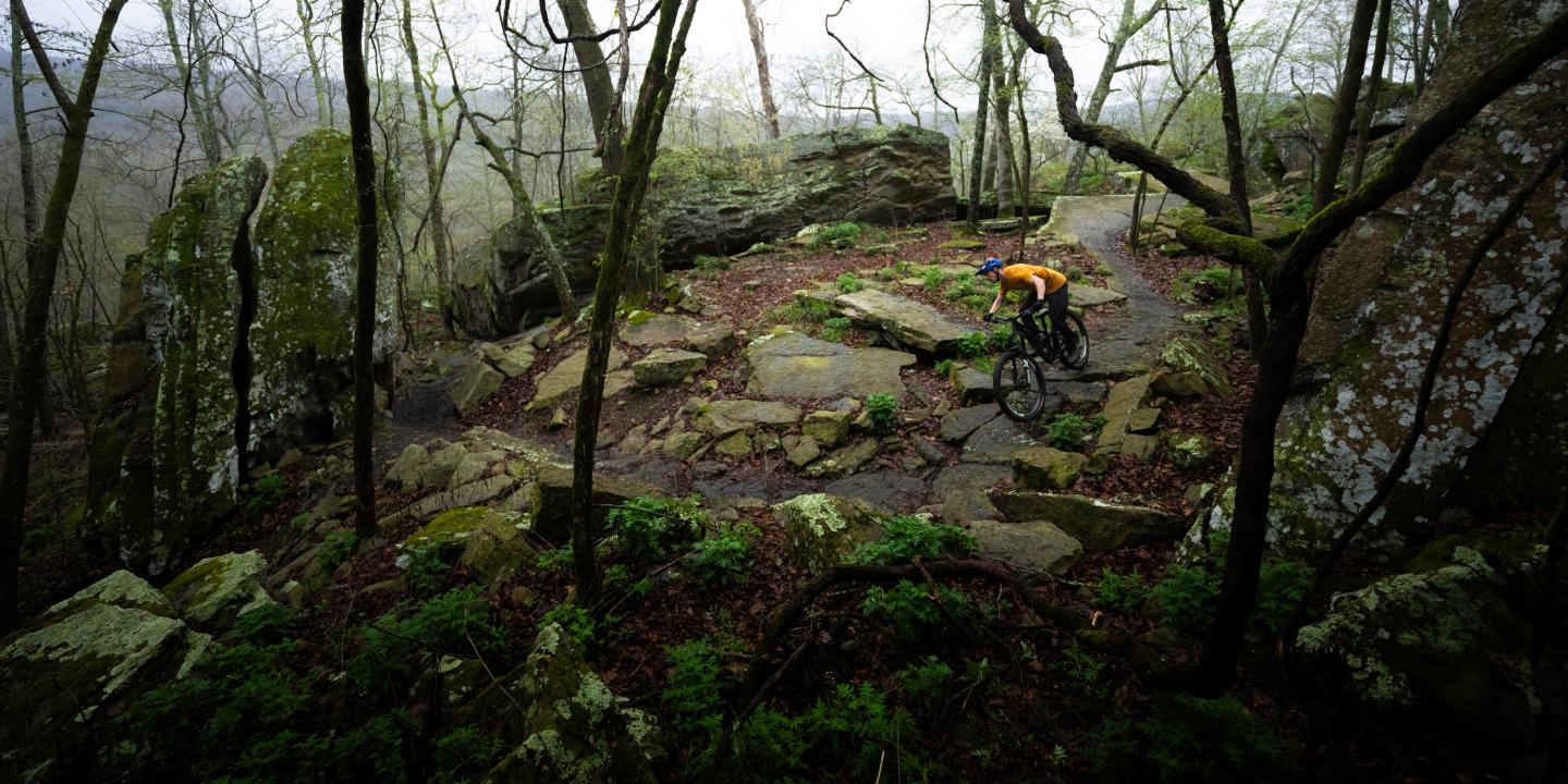 Cyclist in orange biking through a misty forest on a rocky path.
