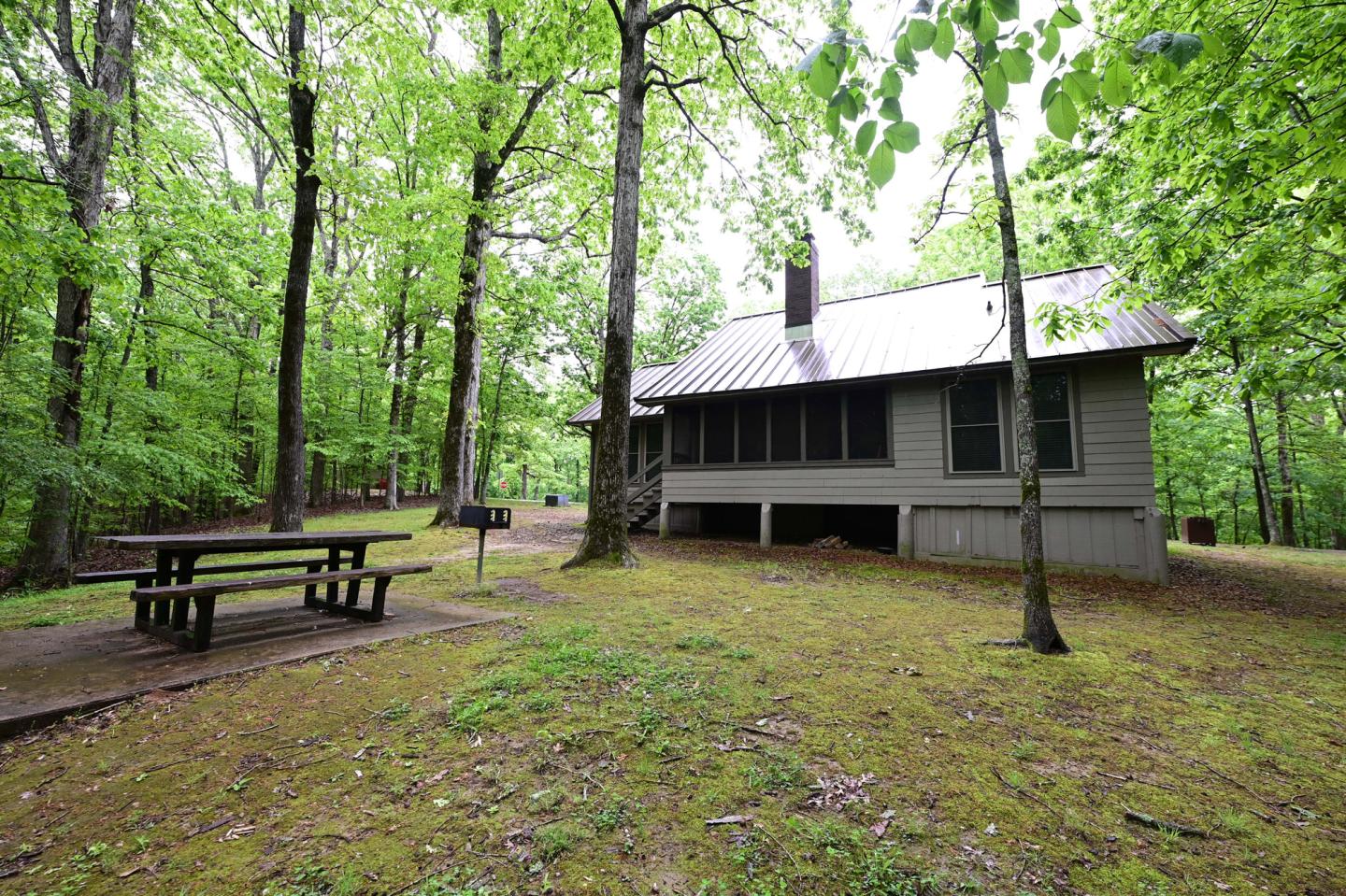 Cabin in a lush forest with a picnic table nearby.