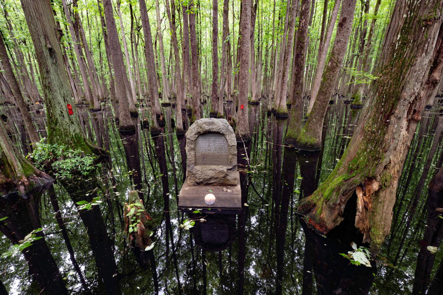 A stone monument stands in a reflective, flooded forest.