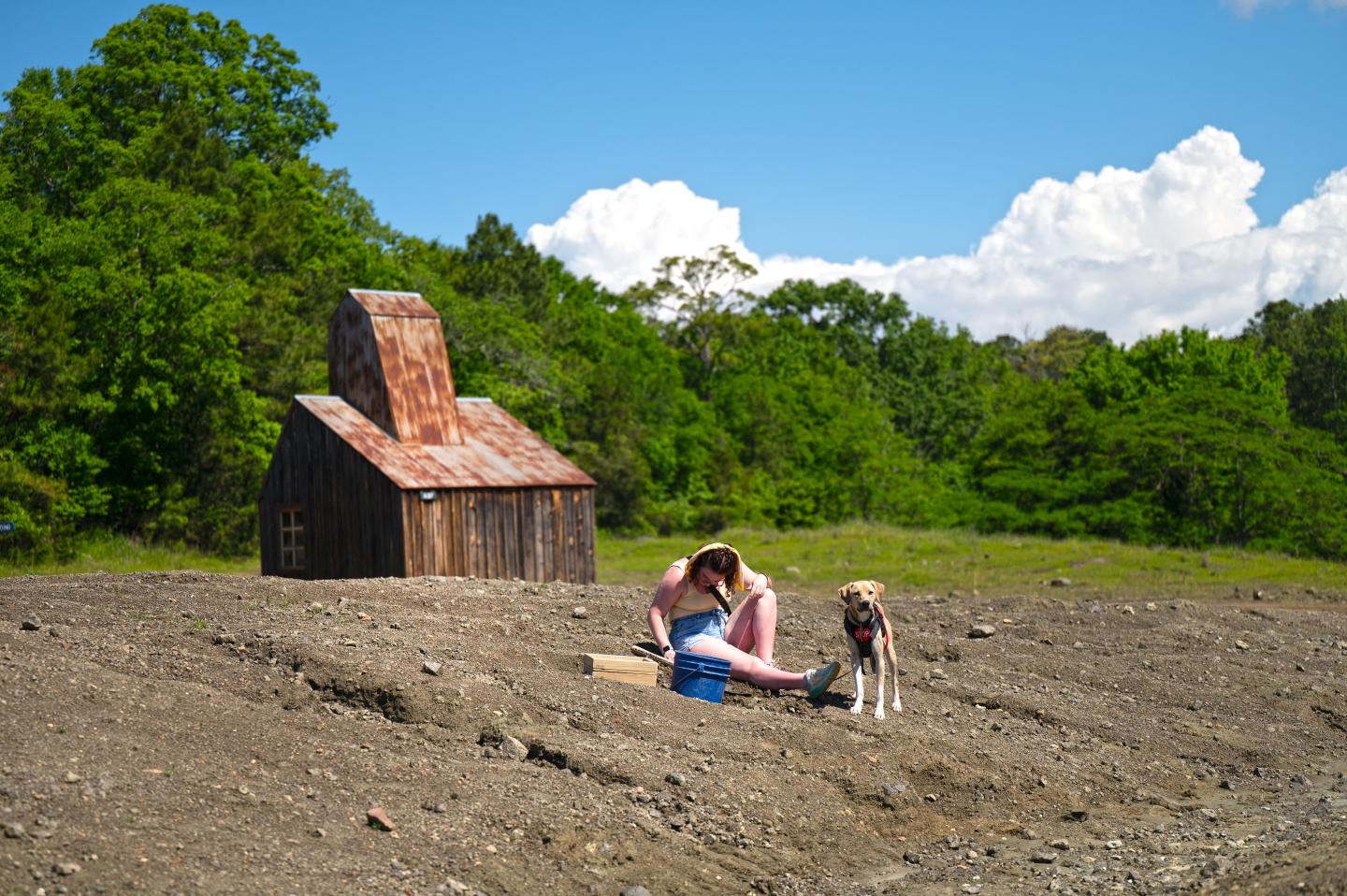 Woman with dog digging for diamonds.