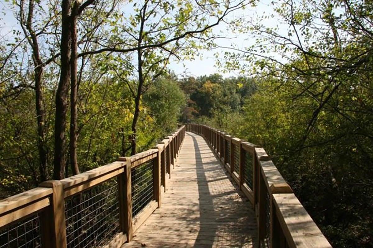 Striplin Woods Natural Area