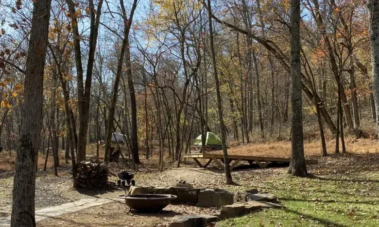 Woodland campsite with a green tent and picnic table among autumn trees.