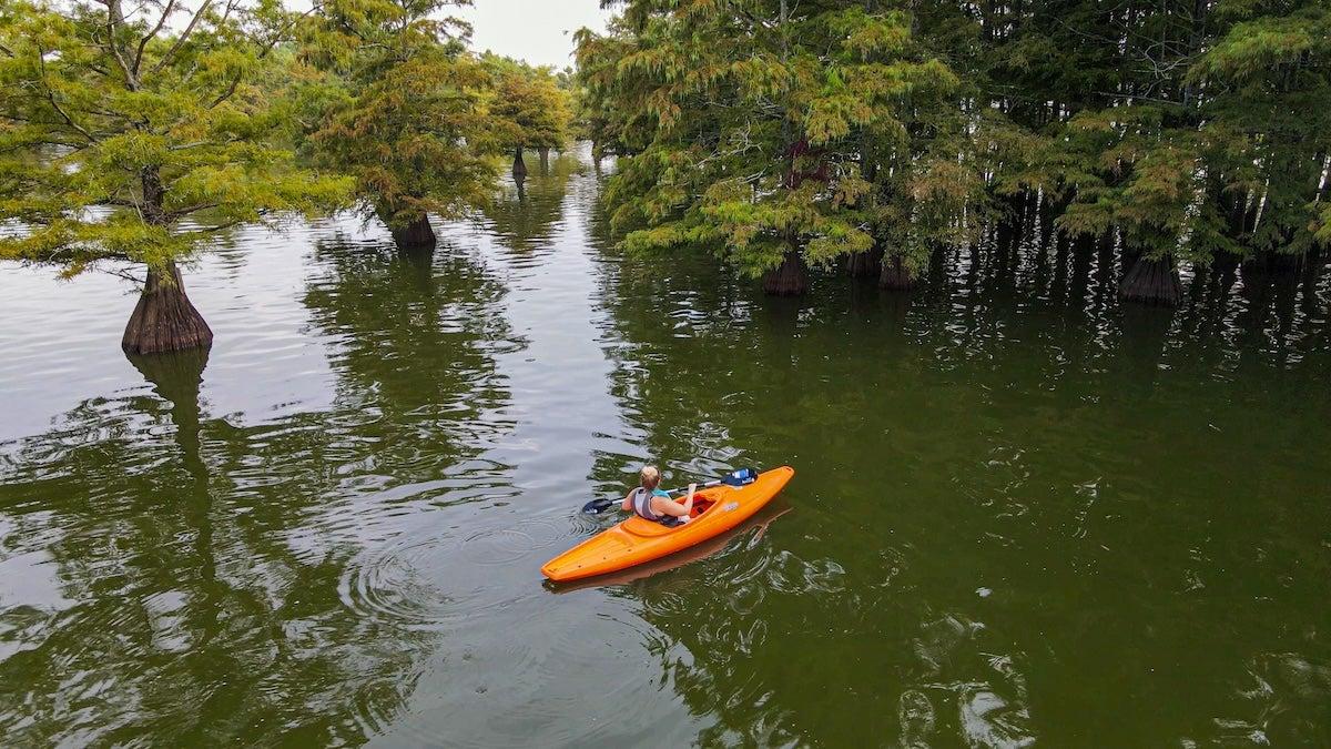 Kayaking at Lake Chicot