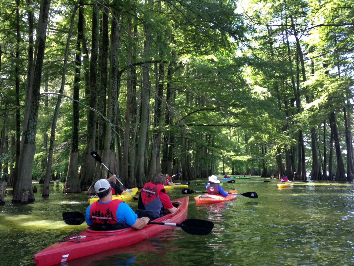 Kayaking at Delta Heritage Trail State Park