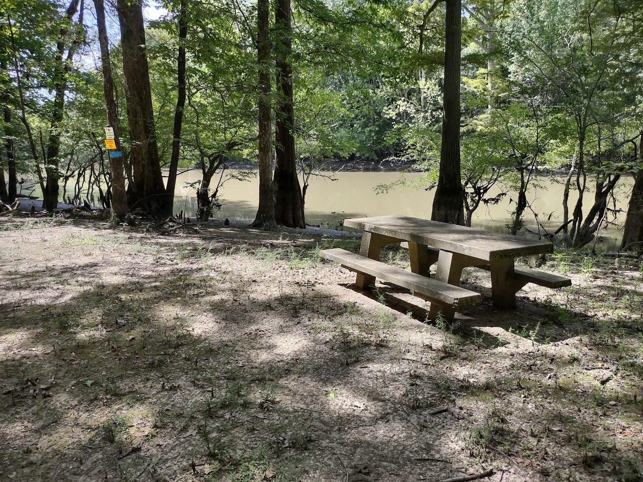 Plenty of Shaded picnic areas in Brookings