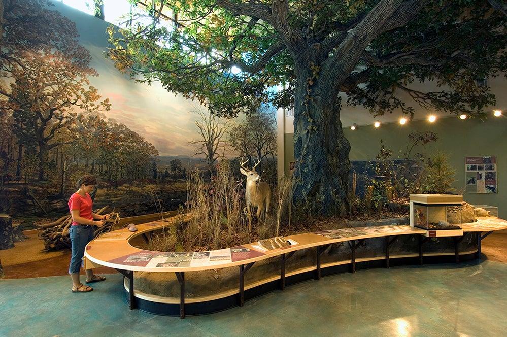 Janet Huckabee Arkansas River Valley Nature Center