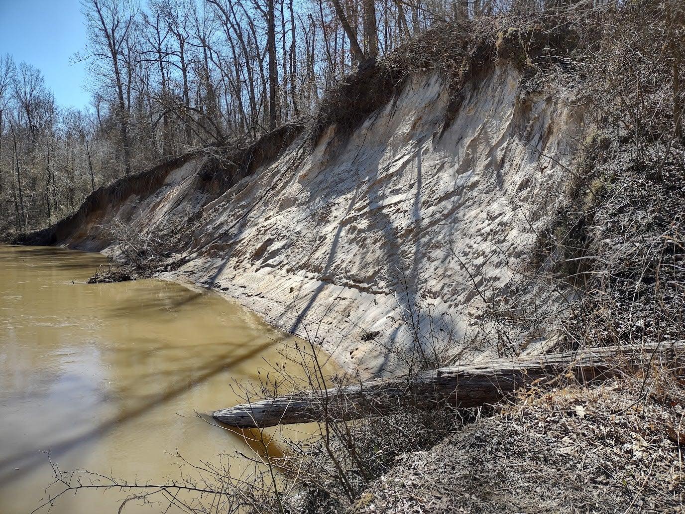 Bluff of light-colored clay, silt, and sand soil which was thought to be chalk