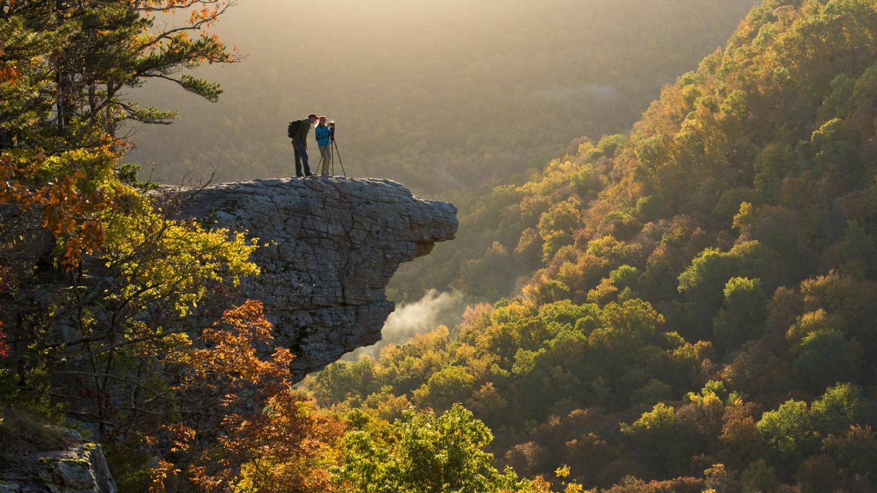 Whitaker Point