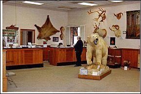 Dallas County Museum