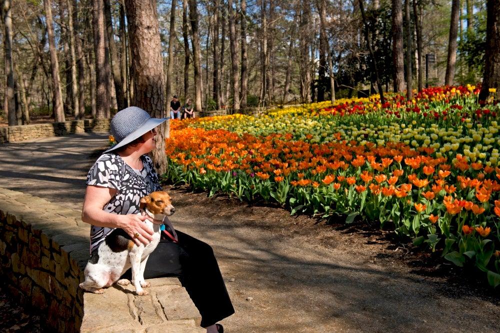 Garvan Woodland Gardens