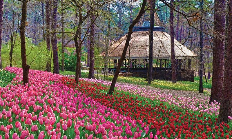 Garvan Woodland Gardens