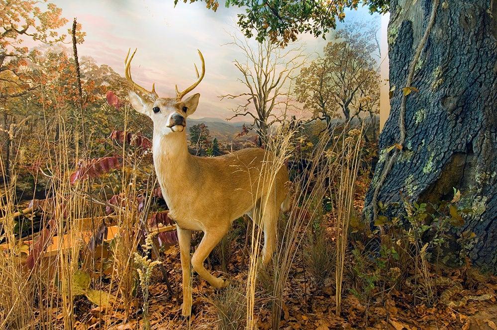 Janet Huckabee Arkansas River Valley Nature Center