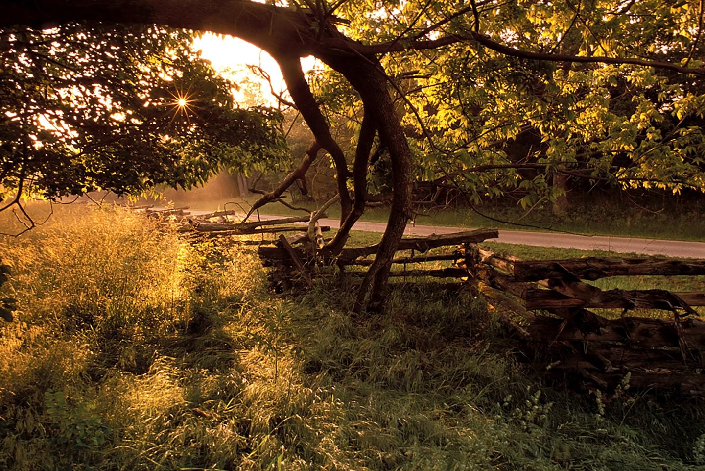 Pea Ridge National Military Park