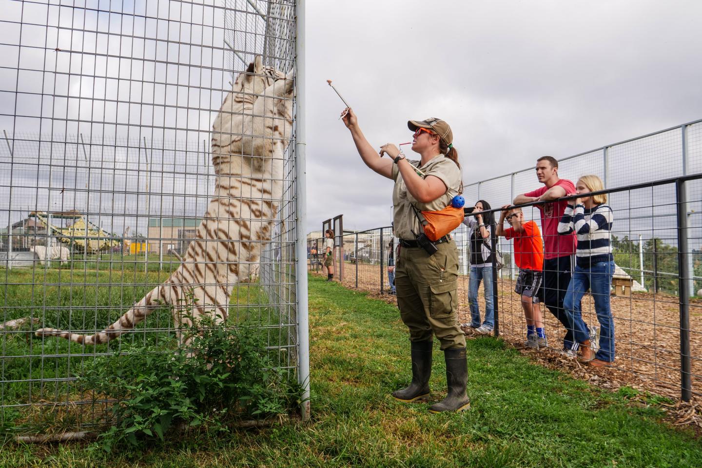 Turpentine Creek Wildlife Refuge
