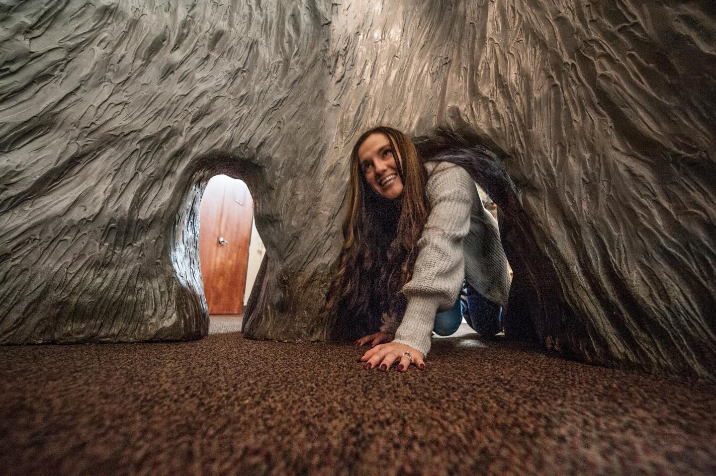 Interior at Governor Mike Huckabee Delta Rivers Nature Center