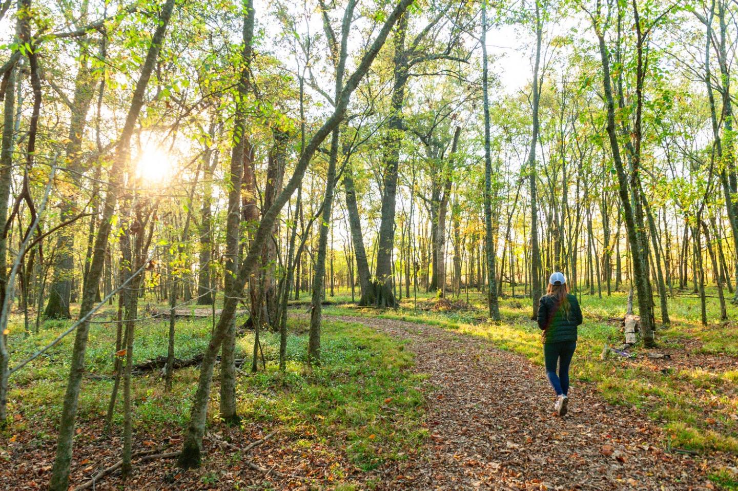 Lake Chicot State Park