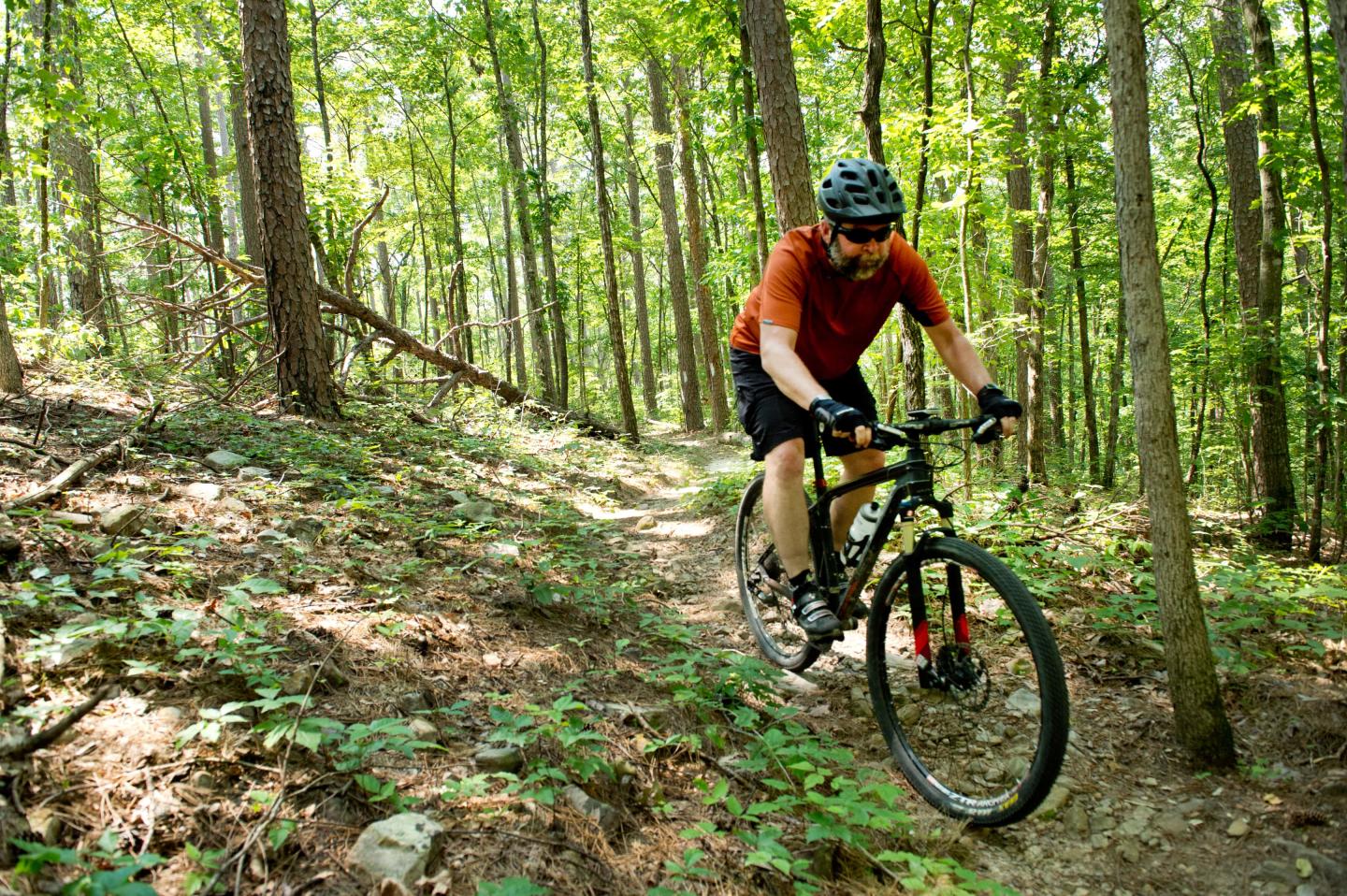 Mountain biking on the Earthquake Ridge Trail