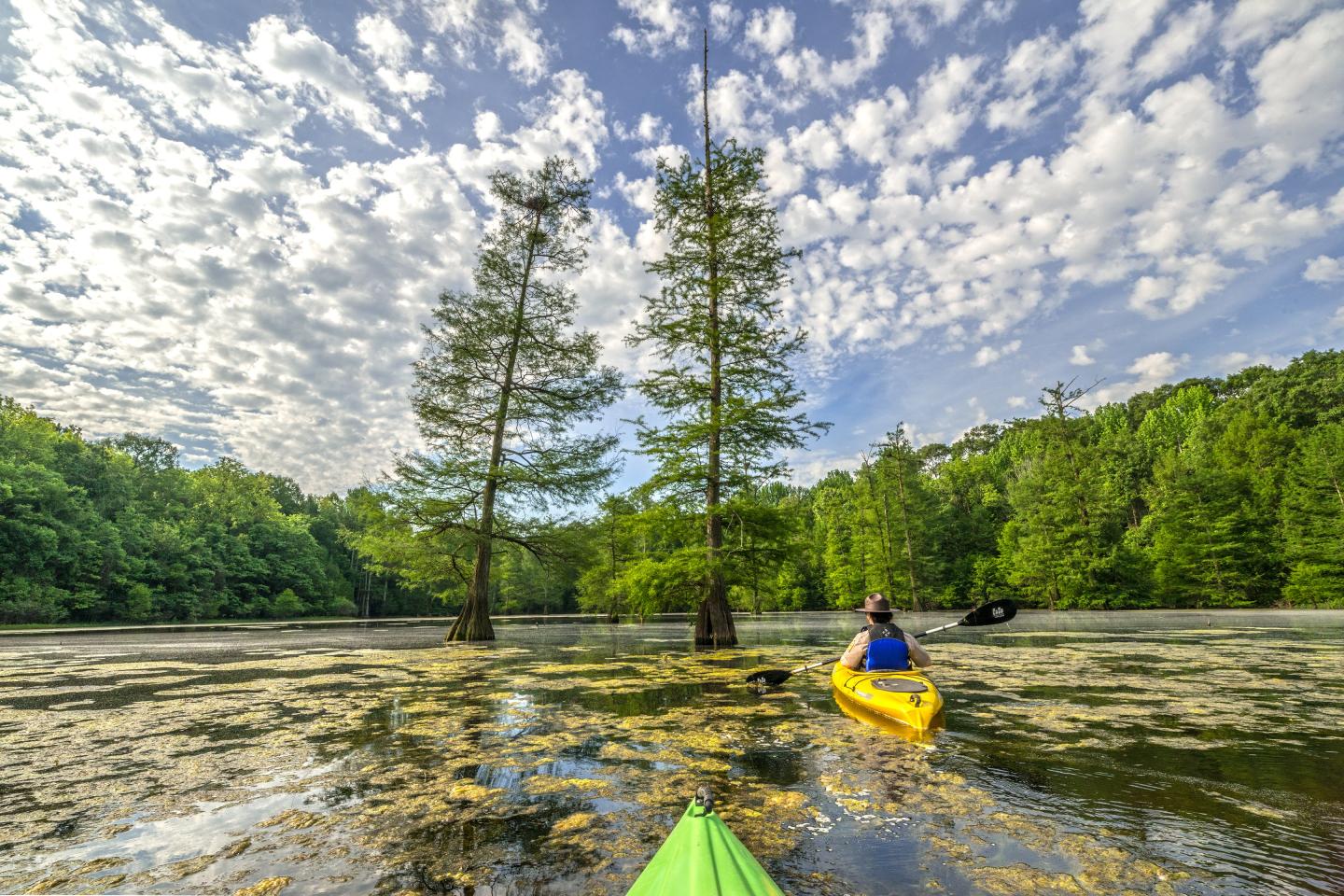 Rent a kayak and explore
