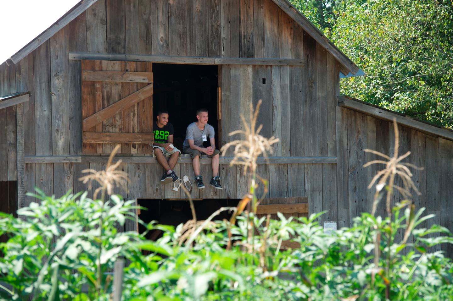 Reed's Bridge Battlefield Heritage Park
