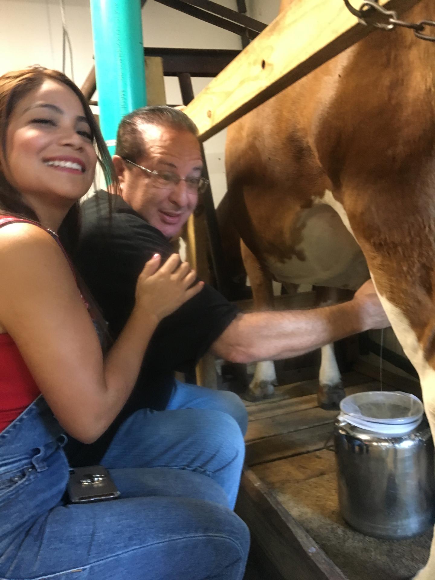 Dogwood Hills Guest Farm