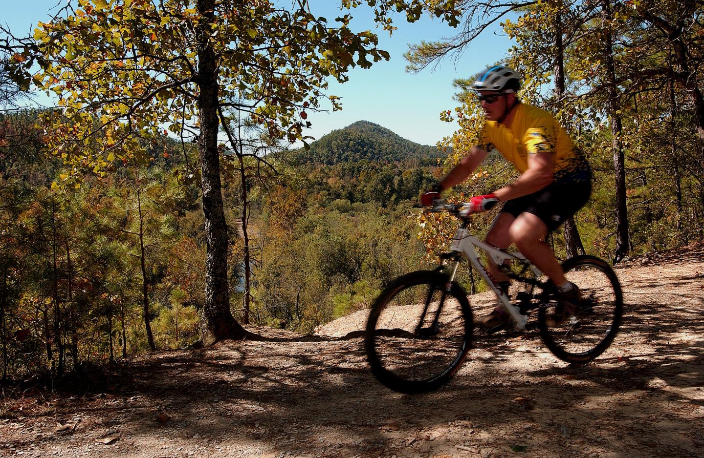 Mountain biking the Womble Trail in the Ouachita National Forest