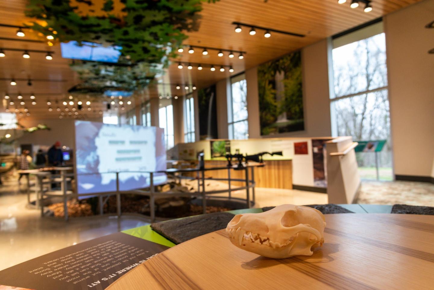 J.B. and Johnelle Hunt Family Ozark Highlands Nature Center