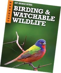 Colorful bird on a branch with green background, "Birding & Watchable Wildlife" text.
