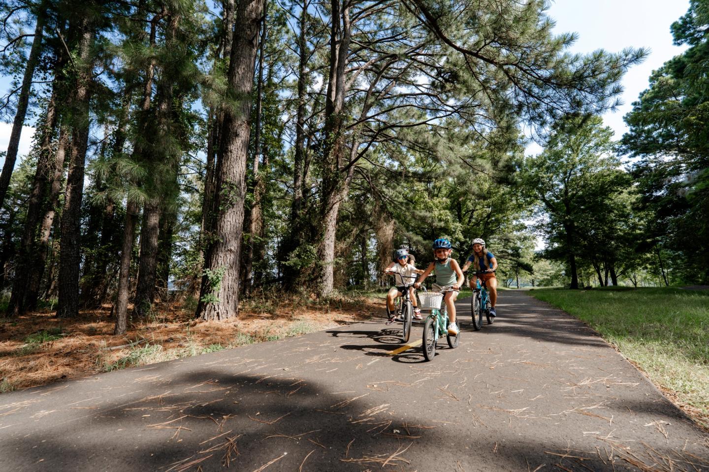 Kids biking on a forest path under tall trees.
