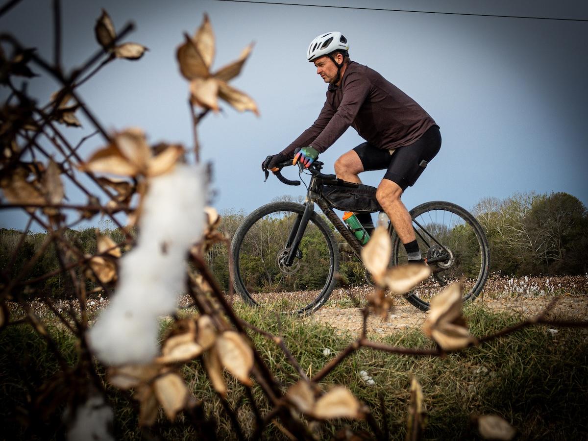 Cyclist riding through a rural landscape, surrounded by dry plants.