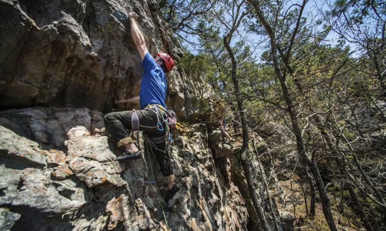Man rock climbing on a cliff, wearing harness, surrounded by trees.
