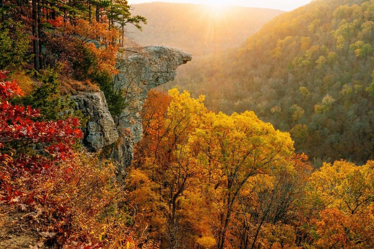 Sunlit autumn forest with vibrant red and yellow foliage, rocky cliff, and distant hills.