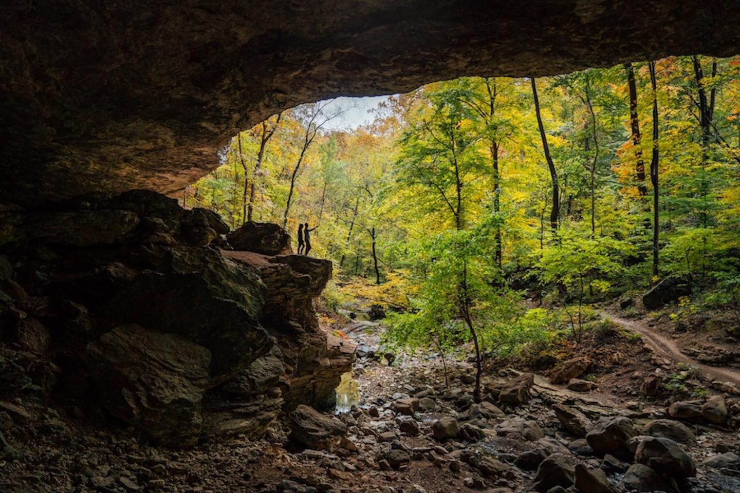 Cave entrance with a lush, sunlit forest view.