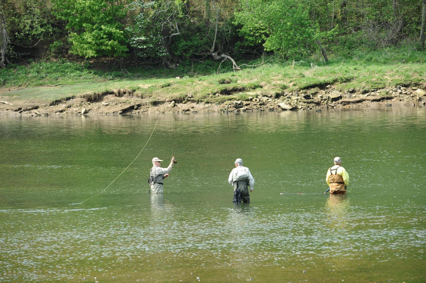 Three people fishing in a river surrounded by green trees.