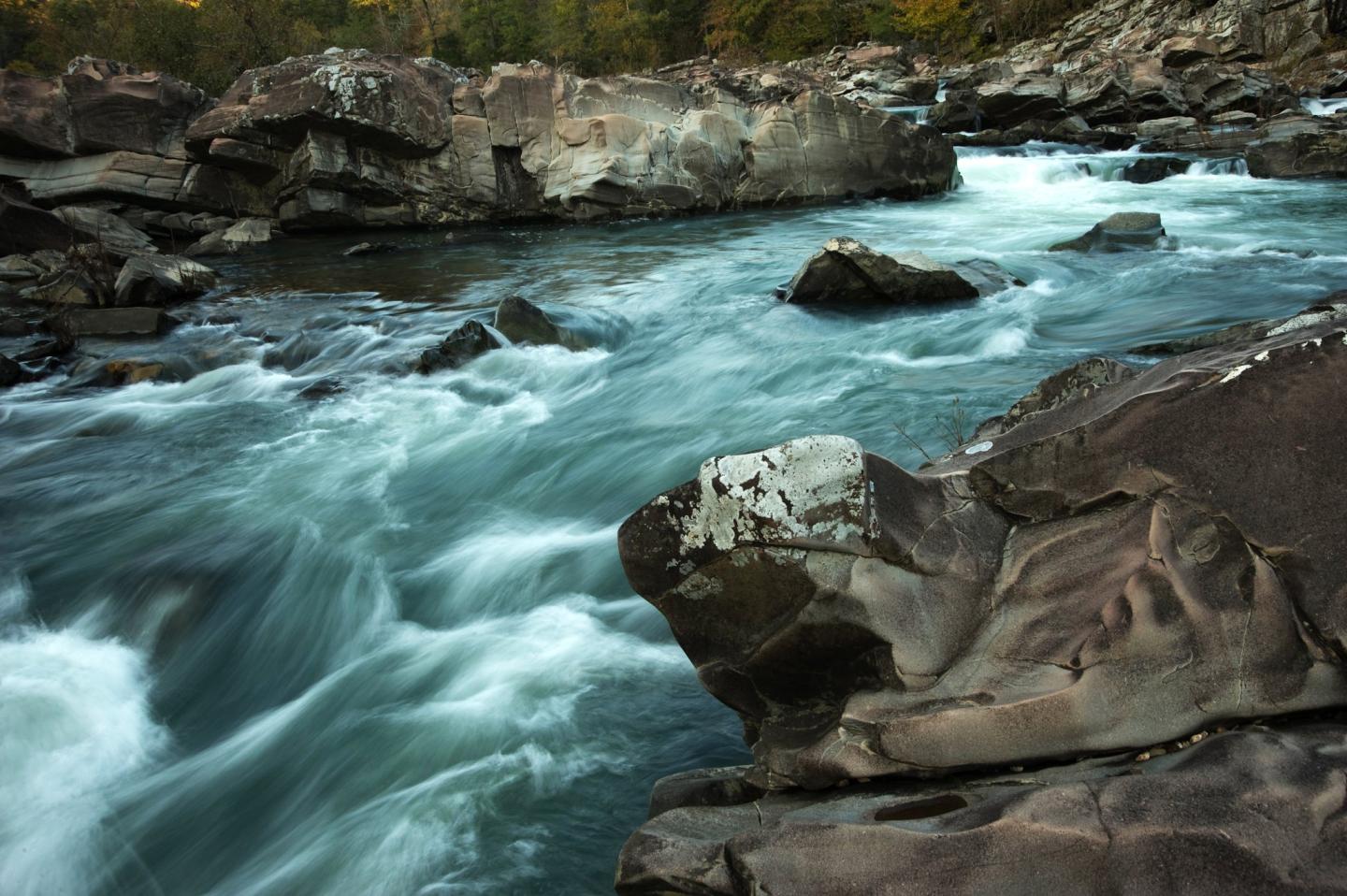 Flowing river with rocks and forested banks in the background.