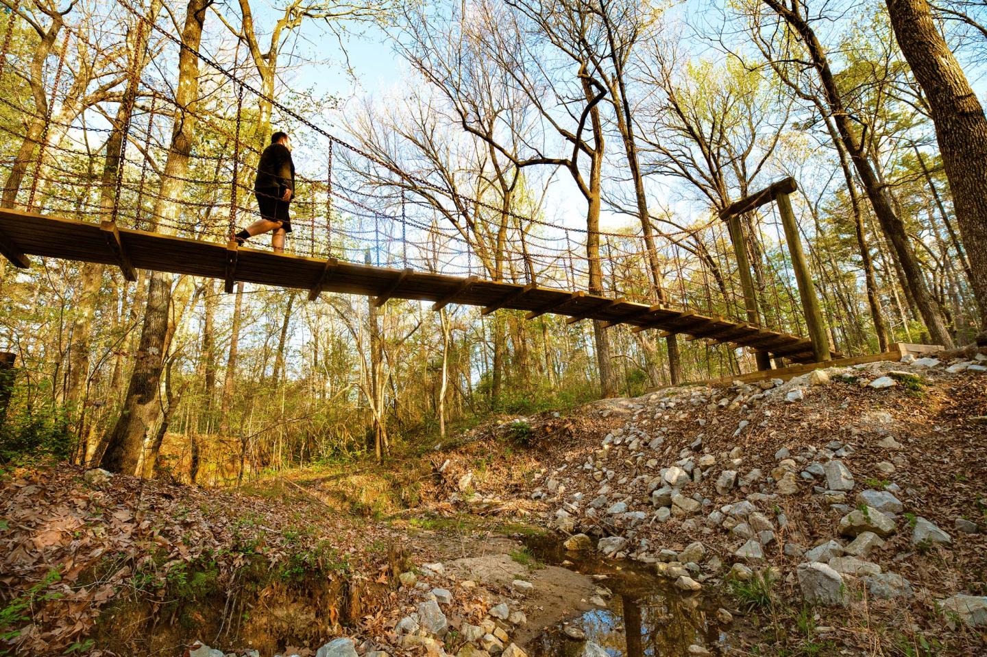 A person walking on a suspension bridge in forest with trees in background.