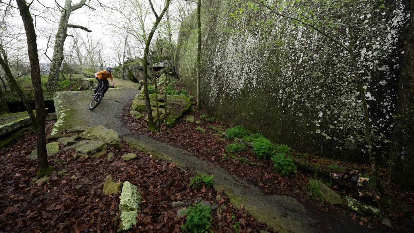 Cyclist riding on a narrow forest path beside a moss-covered stone wall.