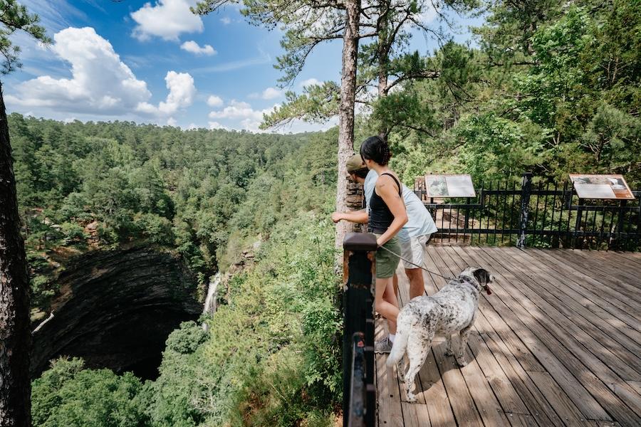 Woman and dog on a wooden platform overlooking a forested canyon.