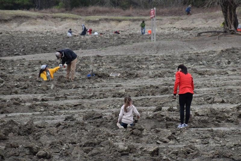 Muddy field with people walking and sinking into the ground.