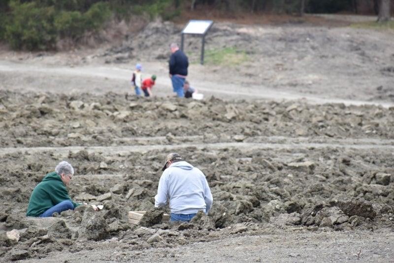 People digging in rocky soil, some in the background, overcast day.