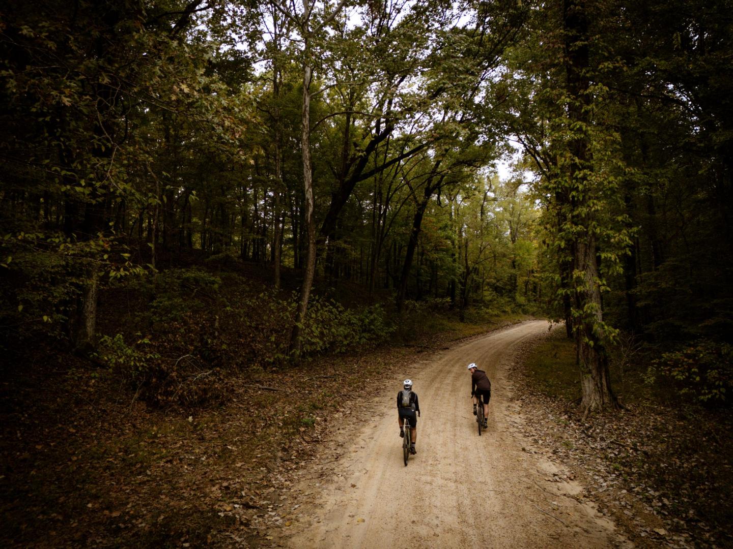 Two cyclists ride on a forest trail under dense trees.