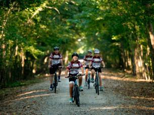 Cyclists riding on a tree-lined path on a sunny day.