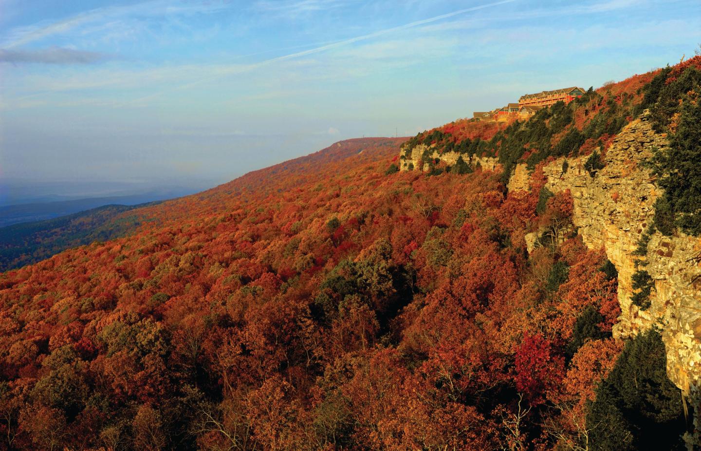 Autumn hillside with vibrant red and orange foliage under a blue sky.