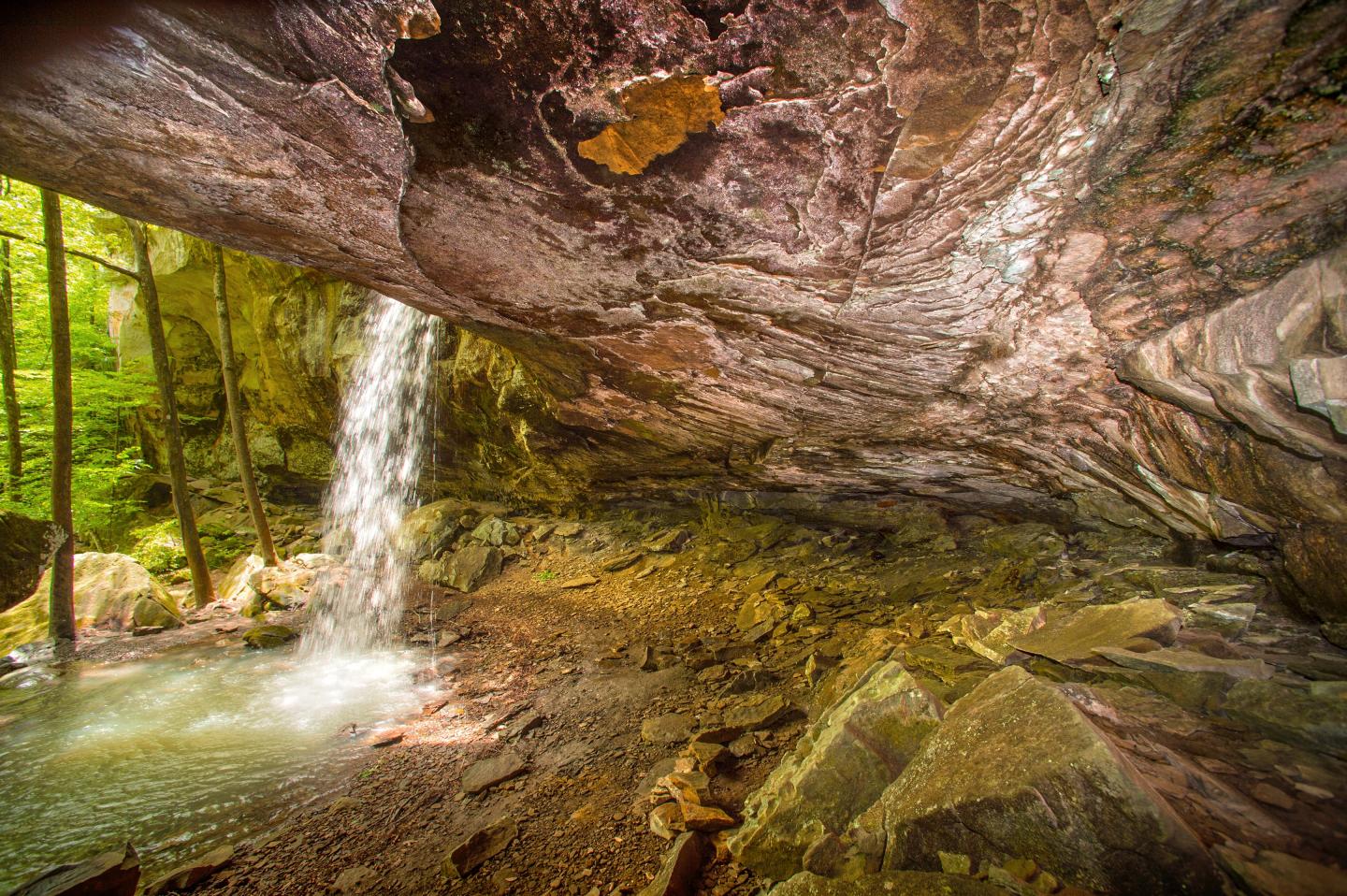 Rocky cave with a small waterfall and green forest outside.